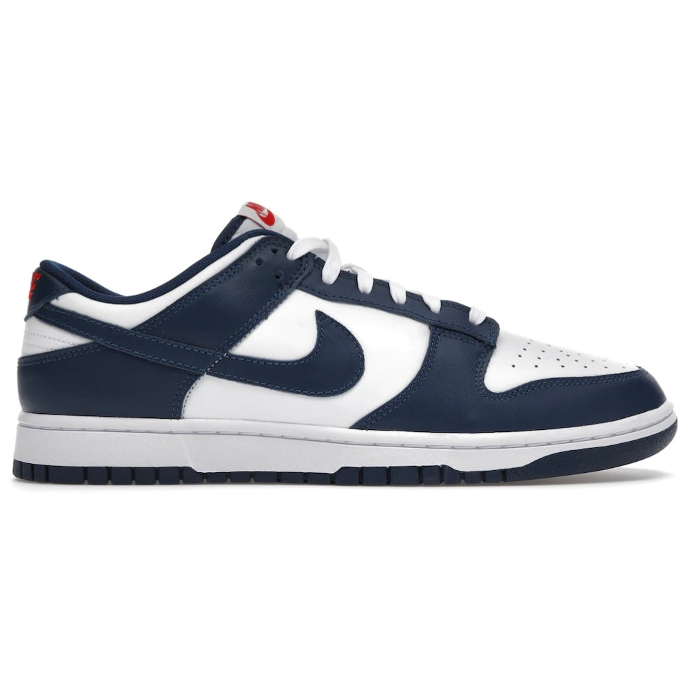 Nike Dunk Low Retro “Valerian Blue”